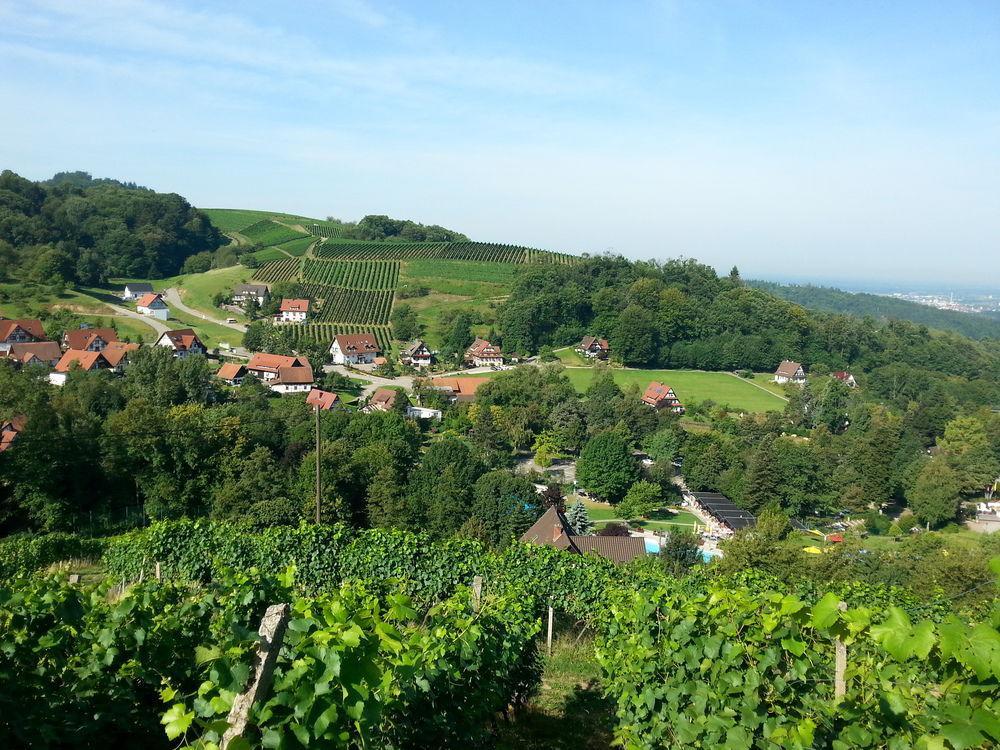 Naturhotel Holzwurm Sasbachwalden Extérieur photo